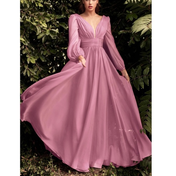 cinderella divine Dresses & Skirts - 💕Cinderella divine long sleeve chiffon dress💕